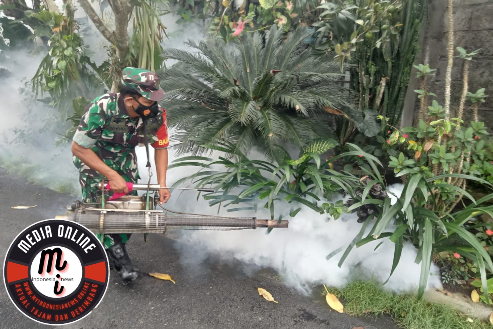 Basmi Sarang Nyamuk DBD, Babinsa Laksnakan Fogging