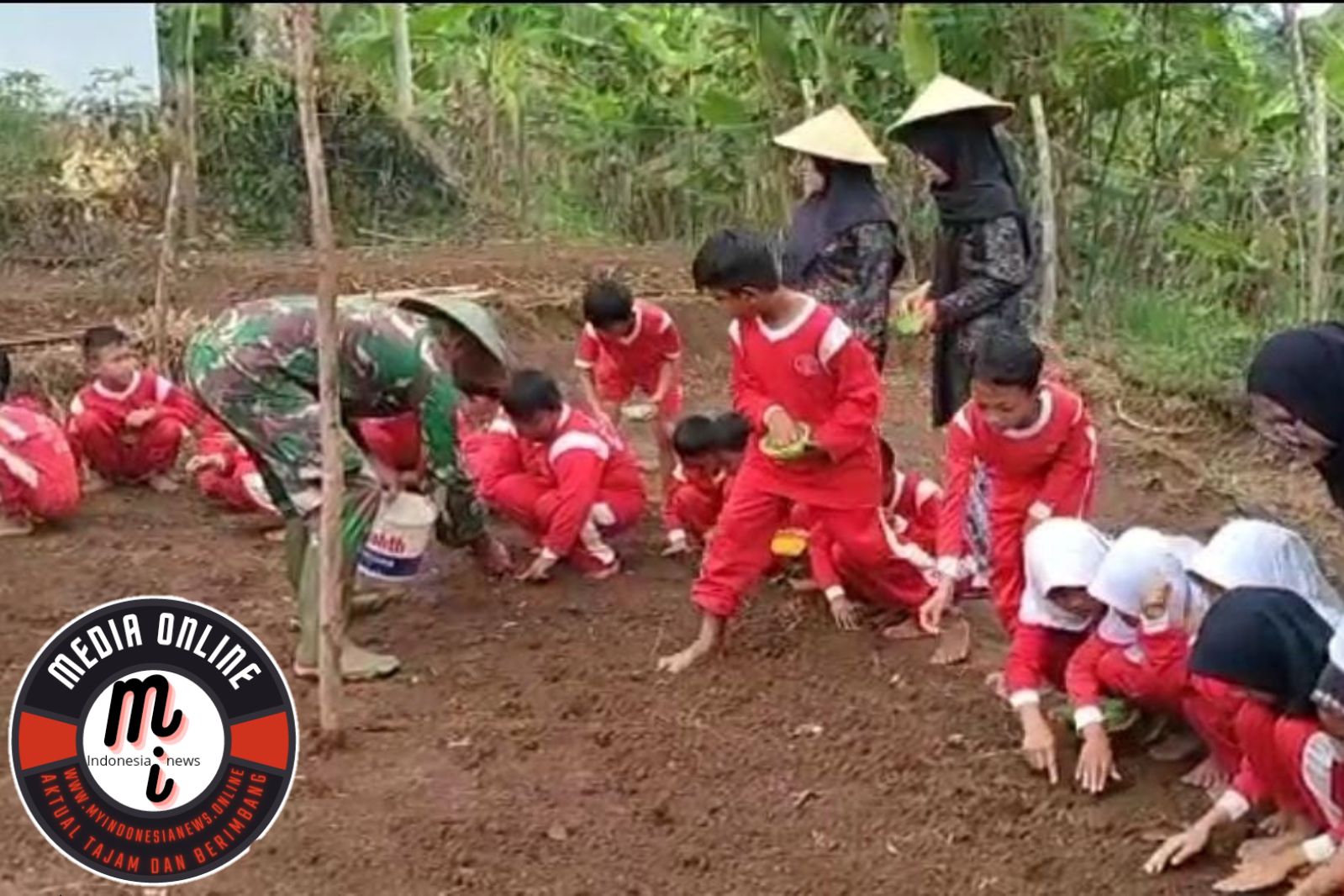 Babinsa Salamkanci Dampingi Siswa – Siswi SD Negeri 2 Menanam Jagung