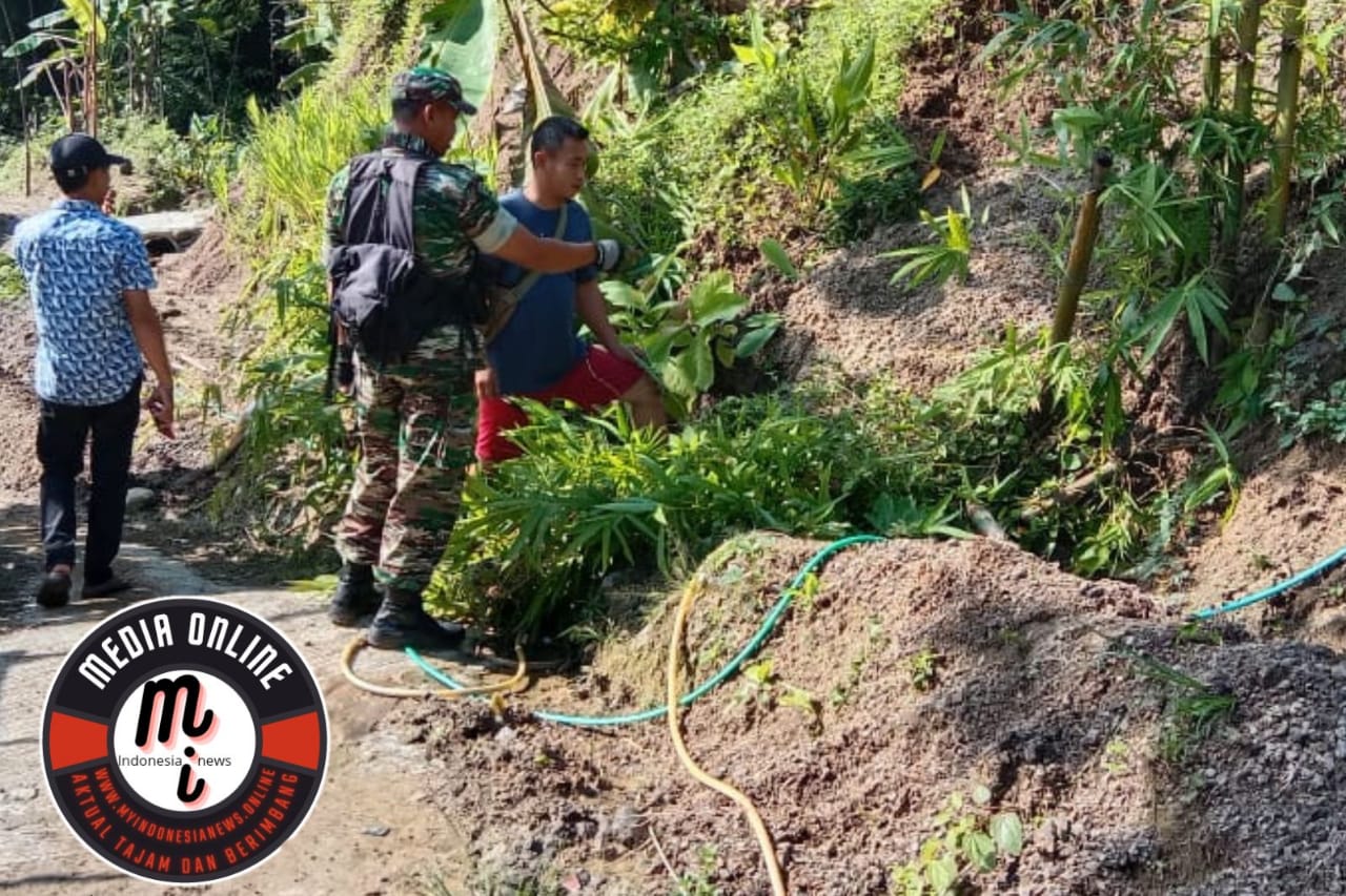 Longsor Terjadi di Dusun Lemah Mendak Akibat Hujan Lebat, Babinsa dan Perangkat Desa Turun ke Lokasi