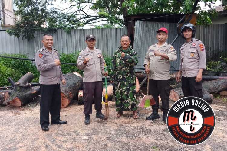 Hujan Deras dan Angin Kencang Sebabkan Pohon Tumbang, Jalan Nogosari – Simo Macet Selama 1½ Jam